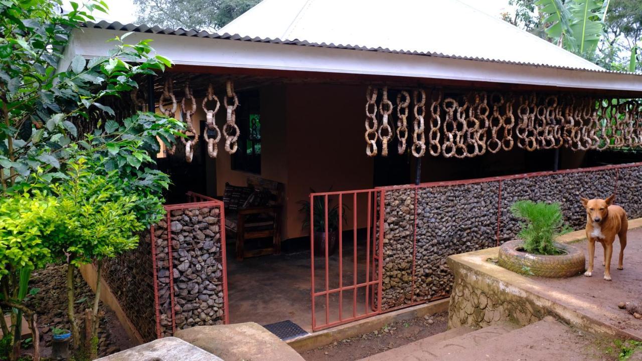Materuni Homes Moshi Exterior photo