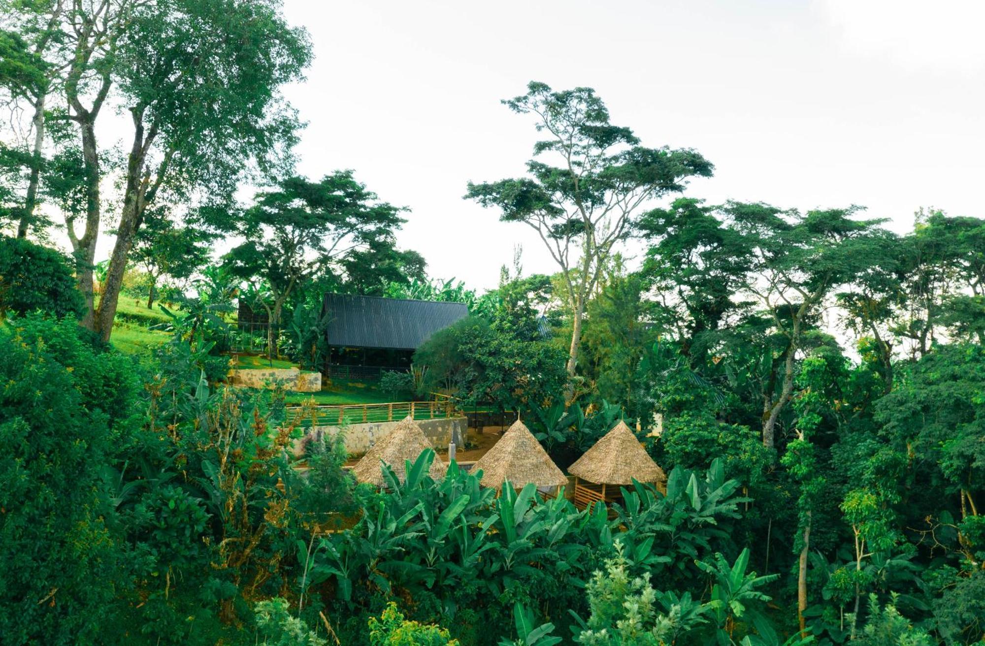 Materuni Homes Moshi Exterior photo